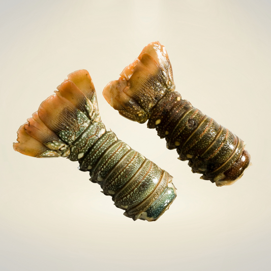 Colas de langosta del Golfo frescas y carnosas para cocina gourmet – Aguasalada.Online