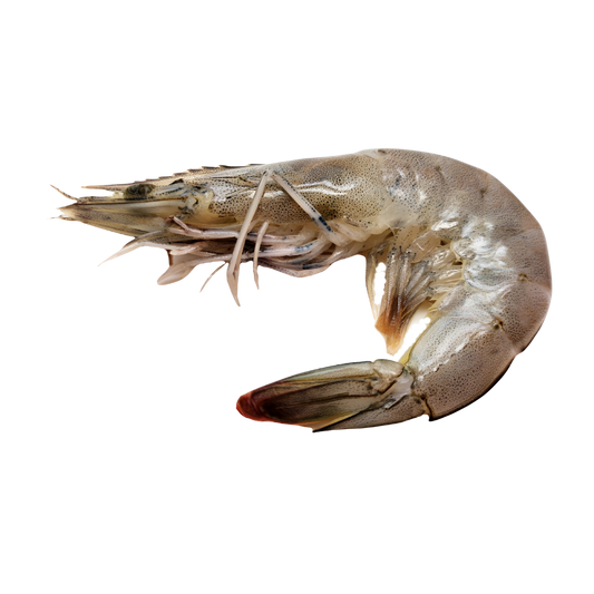 Langostinos enteros XL del Golfo | Precio por kilo