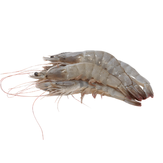 Camarón entero M del Golfo | Precio por kilo