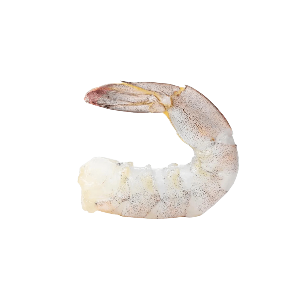 Langostinos Pelados y Desvenados del Golfo de Venezuela | Conveniencia y Ahorro de Tiempo