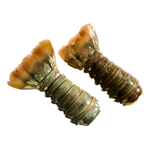 Colas de Langosta del Golfo de Venezuela | Precio por kilo