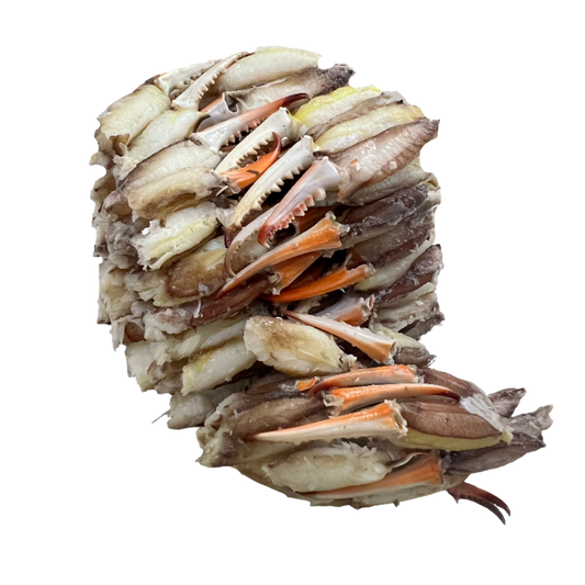 Cangrejo Azul Venezolano | Cocktail Claw – Elegancia y eficiencia