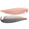 Prime Wild-Caught Mahi Mahi (Dorado) Fillets | Price per kilo - AguaSalada.US