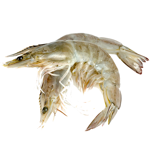 Shrimp, Whole Round (Camarón del Lago A Granel) | Precio por kilo